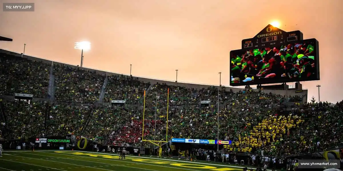 为什么选择我们